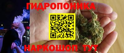 a pvp Волгодонск