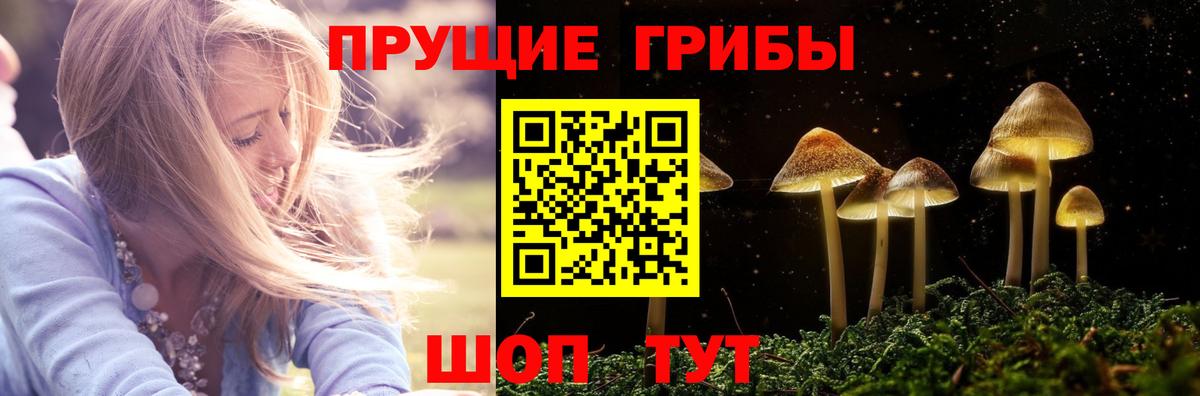 Псилоцибиновые грибы MAGIC MUSHROOMS  Вход с VPN  Заволжье 
